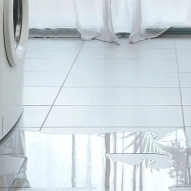 Appliance Leak Cleanup in Monte Rio, CA