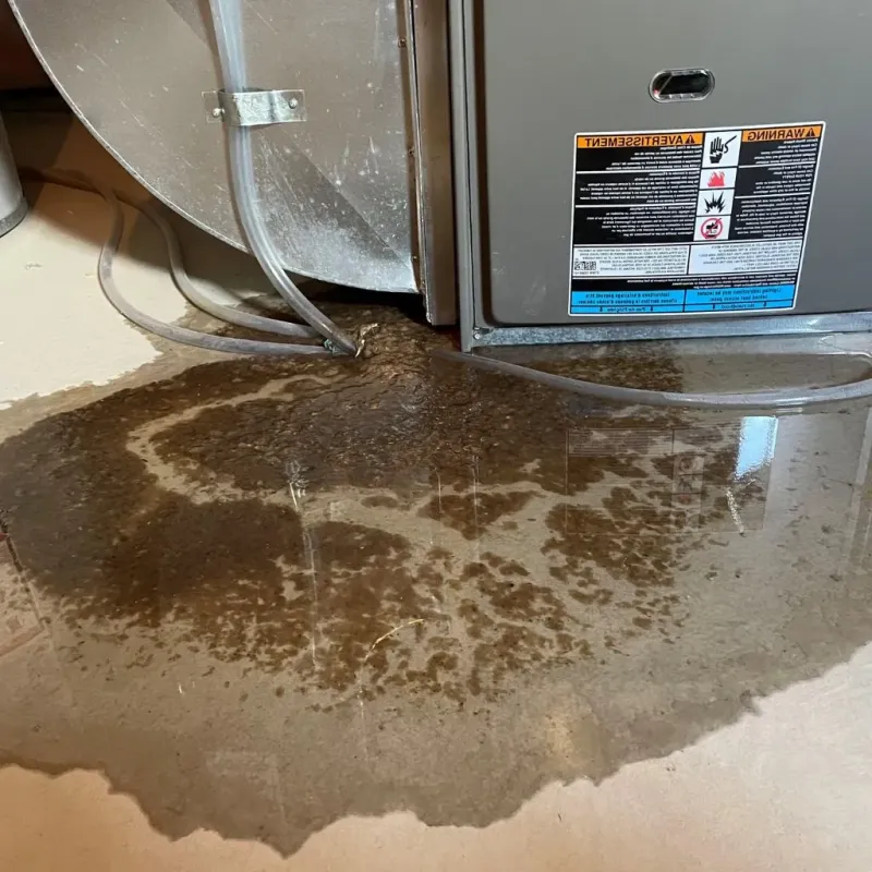 Pipe Burst and Leak Restoration in Monte Rio, CA